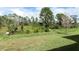 Grass yard with trees and conservation area at 424 Wayland Dr, Haines City, FL 33844
