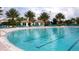 Community swimming pool with palm trees and lounge chairs creates a resort-style oasis at 8938 Cabot Cliffs Dr, Davenport, FL 33896