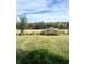Large grassy backyard with natural surroundings and a clear blue sky backdrop at 291 Whistling Duck Trl, St Cloud, FL 34771