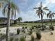 Scenic view of a golf course and homes framed by palm trees at 7465 Excitement Dr, Reunion, FL 34747