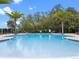 Large community pool with clear blue water and palm tree accents at 3198 Sailing Pier Ave, Winter Garden, FL 34787