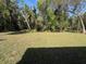 Expansive backyard with a lush lawn and mature trees creating a private oasis at 1552 Lakeside Dr, Deland, FL 32720