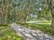 Long driveway leading to a charming house nestled among lush trees at 2075 Genova Dr, Oviedo, FL 32765