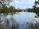 Serene view of a lake with lush greenery at 1508 Crest Ave, Leesburg, FL 34748