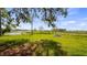 Open backyard with lush green grass, a tranquil lake view, and mature trees under a clear sky at 2459 Adelia Blvd, Deltona, FL 32725