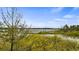 Scenic lake view featuring diverse plant life and clear skies at 2459 Adelia Blvd, Deltona, FL 32725