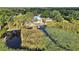 Stunning aerial view of a waterfront property with lush greenery, trees, and a private pond at 1322 Susannah Blvd, Orlando, FL 32803