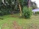 View of backyard with overgrown grass, trees, shrubs, and a wooden pallet against a chainlink fence at 3505 Pine Ridge Ct, Orlando, FL 32808