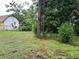 The backyard is overgrown with grass and shrubs, and a chainlink fence runs across the property line at 3505 Pine Ridge Ct, Orlando, FL 32808