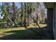 Landscaped backyard with mature trees and lush greenery at 4423 Real Ct, Orlando, FL 32808