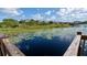 Scenic lake view with lily pads on the water, viewed from a wooden dock at 14132 Murcott Blossom Blvd, Winter Garden, FL 34787