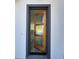 Modern front door gives view to the home's interior featuring light grey flooring at 6208 Sw 129Th St, Ocala, FL 34473
