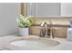 Close up of a bathroom sink with a stainless steel faucet and potted plant on a granite countertop at 772 Stephens Pass Cv, Lake Mary, FL 32746