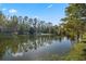 Scenic pond view surrounded by lush trees creating a serene and peaceful environment at 772 Stephens Pass Cv, Lake Mary, FL 32746