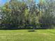 View of the backyard with a metal fence and mature trees at 1173 Basalt Ln, Sanford, FL 32771
