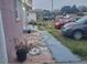 Property's front yard with a brick walkway, flower pot, and cars parked in the driveway at 16 N Lancelot Ave, Orlando, FL 32835