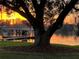 Sunset view of the covered boat dock on the water, with an old oak tree in the foreground at 4024 W Danby Ct, Winter Springs, FL 32708