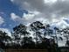 A scenic view of tall pine trees against a backdrop of a cloudy sky at 1342 Twelve Oaks Rd, Saint Cloud, FL 34771