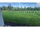 Lush green backyard featuring manicured lawn, trees, and decorative bushes, offering privacy at 2322 Lily Bloom Rd, St Cloud, FL 34771