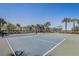 Community pickleball courts surrounded by lush landscaping and blue skies at 7889 Penrose Pl, Wildwood, FL 34785