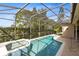 Beautiful pool and spa, surrounded by a screened enclosure and greenery at 2815 Crane Trace Cir, Orlando, FL 32837