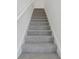 Gray carpeted stairs with white handrail at 16387 Happy Eagle Dr, Clermont, FL 34714