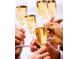 Close up view of people holding champagne flutes at 7763 Westland Dr, Kissimmee, FL 34747