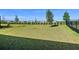 Expansive backyard showcasing a well-maintained lawn, mature trees, and a modern fence, ideal for entertaining at 11218 Pixie Mandarin Ct, Winter Garden, FL 34787