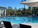 A view of the pool highlighting lounge chairs, umbrellas, and a view of surrounding trees at 11218 Pixie Mandarin Ct, Winter Garden, FL 34787