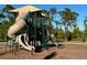 Community playground features a large slide, shade trees, and a picnic table at 11218 Pixie Mandarin Ct, Winter Garden, FL 34787
