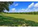 Large backyard with lush green grass and mature trees at 315 Aldridge Ln, Davenport, FL 33897