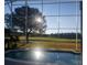 The view from a pool looking out to a tree and a golf course on a sunny day through a screen at 9918 Turtle Bay Ct, Orlando, FL 32832