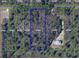 Rectangular lot for sale in a wooded area at 0 Sabal St, Orlando, FL 32833