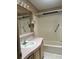 Bathroom with single sink vanity and bathtub at 3009 Manatee Rd, Tavares, FL 32778