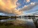 Scenic lake view with lily pads and a picturesque sky in the background at sunset at 119 Lake Dr, Oviedo, FL 32765