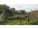 Backyard view showing overgrown vegetation and a dilapidated fence at 3555 E Johnson Ave, Haines City, FL 33844
