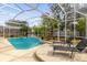 Refreshing pool with lounge chairs and screened enclosure at 1657 Carillon Park Dr, Oviedo, FL 32765