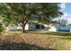 Large backyard with mature tree and shed at 541 Willet Cir, Auburndale, FL 33823