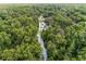 Aerial view of river flowing through lush forest at 3954 Old Dunn Rd, Apopka, FL 32712