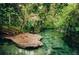 A calm river flows through lush green foliage at 3954 Old Dunn Rd, Apopka, FL 32712