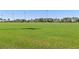 Expansive soccer field with well-maintained grass at 3954 Old Dunn Rd, Apopka, FL 32712