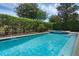 Beautiful pool with lush landscaping, privacy hedge and integrated spa, perfect for relaxation and entertaining at 471 Lasso Dr, Kissimmee, FL 34747