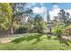 Expansive backyard featuring a well-manicured lawn, vibrant foliage, and a charming yellow house at 786 Antonette Ave, Winter Park, FL 32789