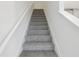 Gray carpeted stairs leading to the upper level at 16332 Happy Eagle Dr, Clermont, FL 34714