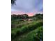 Peaceful backyard view of a pond at sunset at 2532 Civitas Pl, Casselberry, FL 32707