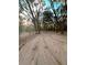 Long private driveway leading into wooded area at 8490 Se 110Th Street Rd, Belleview, FL 34420