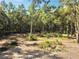 Private wooded area adjacent to property line at 8490 Se 110Th Street Rd, Belleview, FL 34420