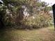 Lush backyard featuring mature trees and landscaping, offering privacy and a serene outdoor setting at 5789 Windhover Dr # E03, Orlando, FL 32819