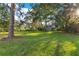 Expansive backyard with mature trees providing shade and a large grassy area perfect for outdoor activities at 1003 Oakdale St, Windermere, FL 34786