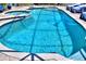 Beautiful in-ground pool with attached spa, translucent safety screen and tiled pool surround at 136 Reef Rd, South Daytona, FL 32119